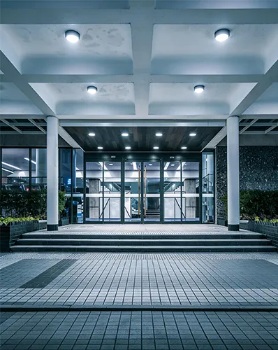 Soluciones de entrada comercial
